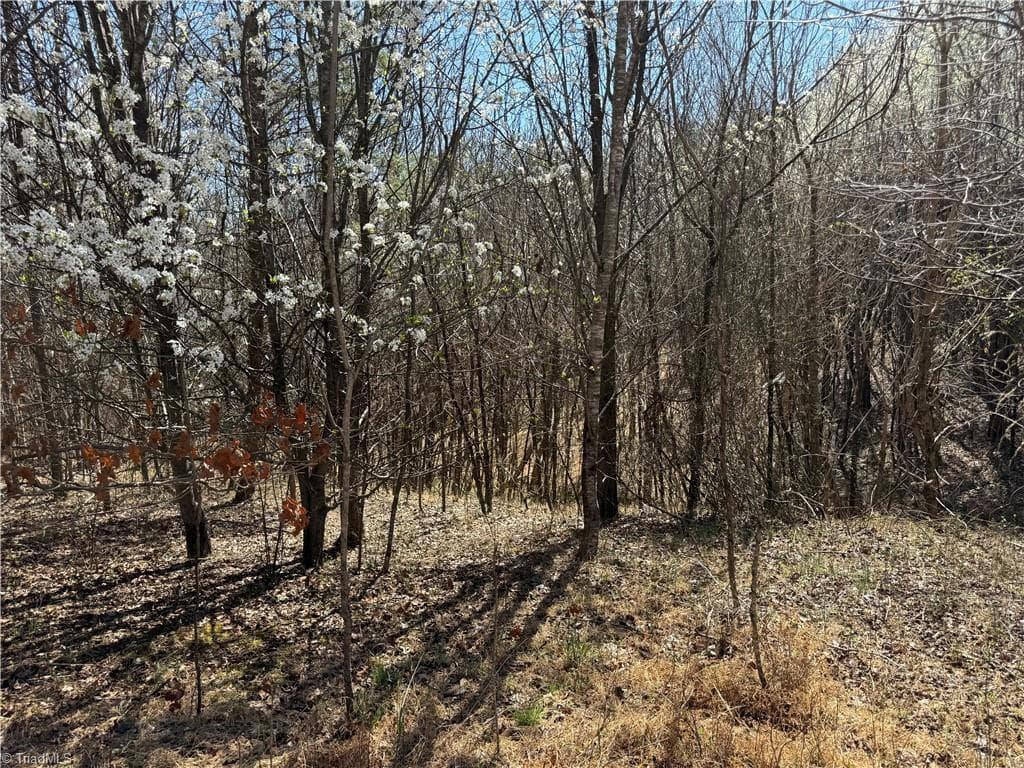 Stick/Site Built at 6937 NC Highway 66 S, King NC 27021, King, photo 49 of 62