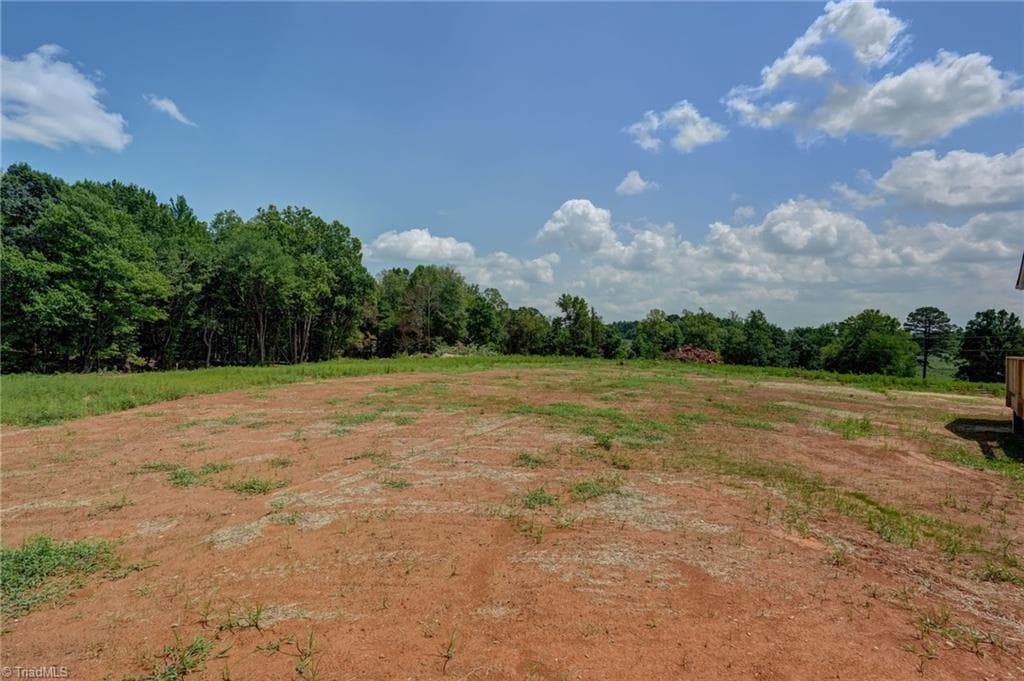 Stick/Site Built at 354 Cole Road, Reidsville NC 27320, photo 38 of 41