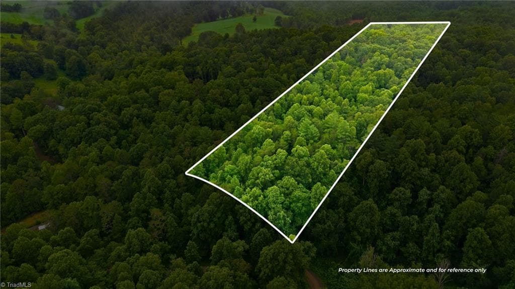 000 Brewer Mill Road Extension, Traphill NC 28685