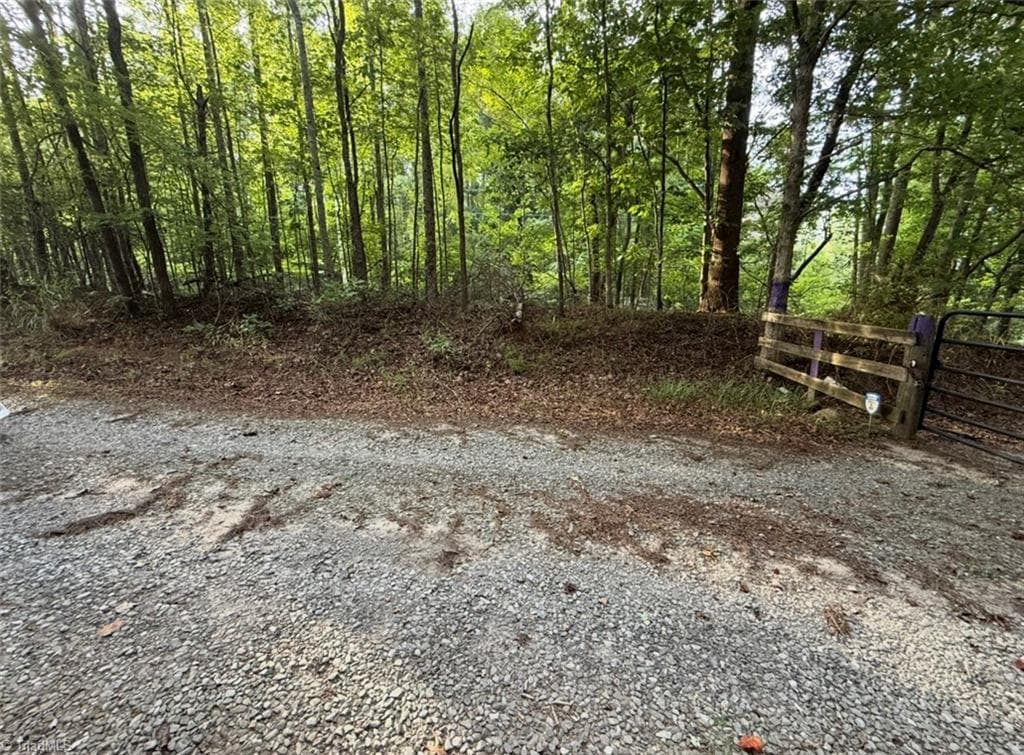 Unimproved Land at 00 Locust Grove Road # 67, Westfield NC 27053, photo 13 of 20