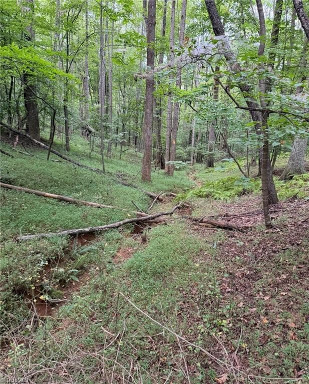 Unimproved Land at 00 Locust Grove Road # 67, Westfield NC 27053, photo 17 of 20