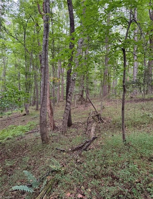 Unimproved Land at 00 Locust Grove Road # 67, Westfield NC 27053, photo 16 of 20