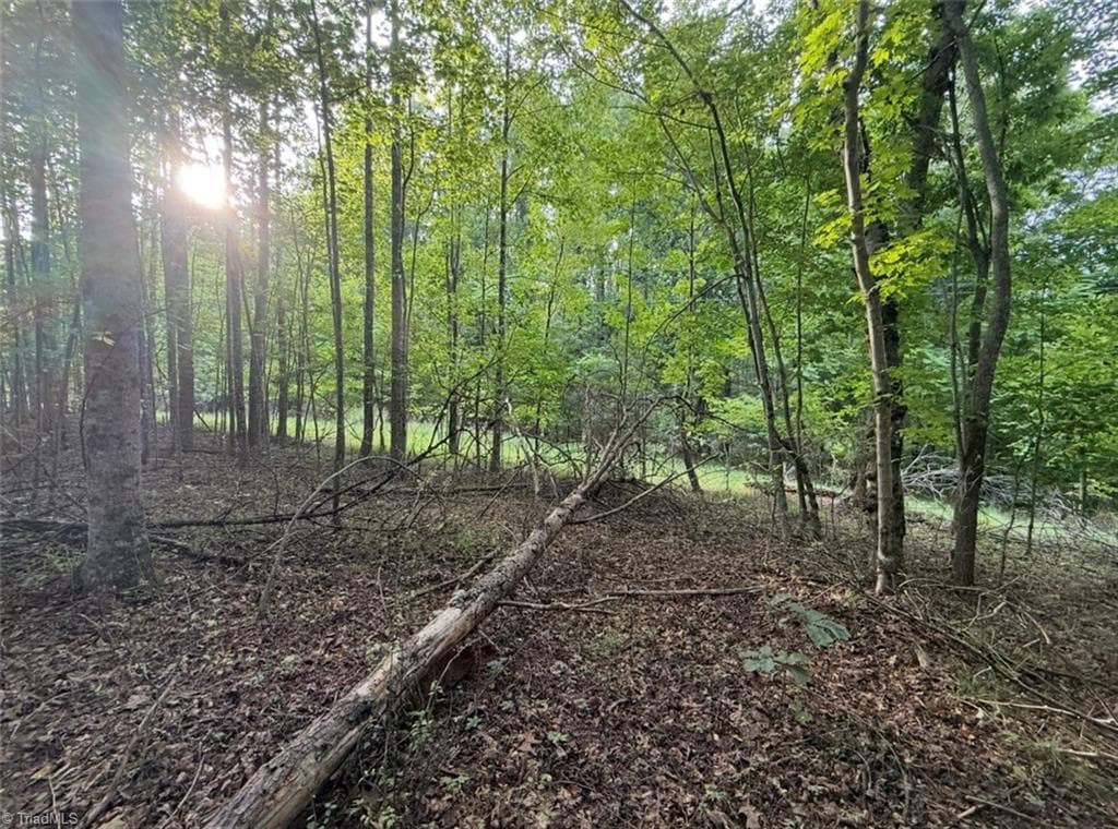 Unimproved Land at 00 Locust Grove Road # 67, Westfield NC 27053, photo 12 of 20