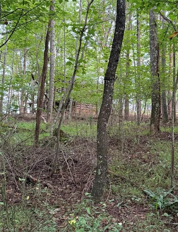 Unimproved Land at 00 Locust Grove Road # 67, Westfield NC 27053, photo 14 of 20