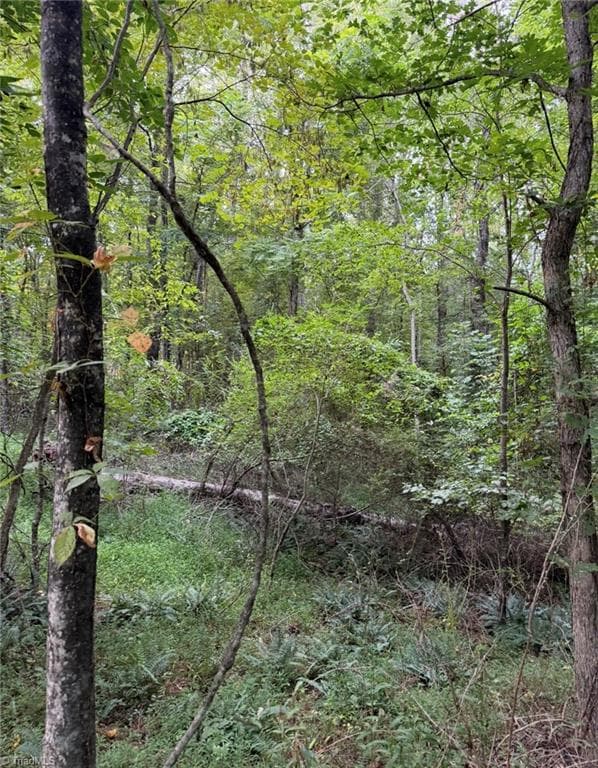 Unimproved Land at 00 Locust Grove Road # 67, Westfield NC 27053, photo 18 of 20
