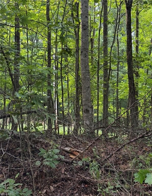 Unimproved Land at 00 Locust Grove Road # 67, Westfield NC 27053, photo 11 of 20