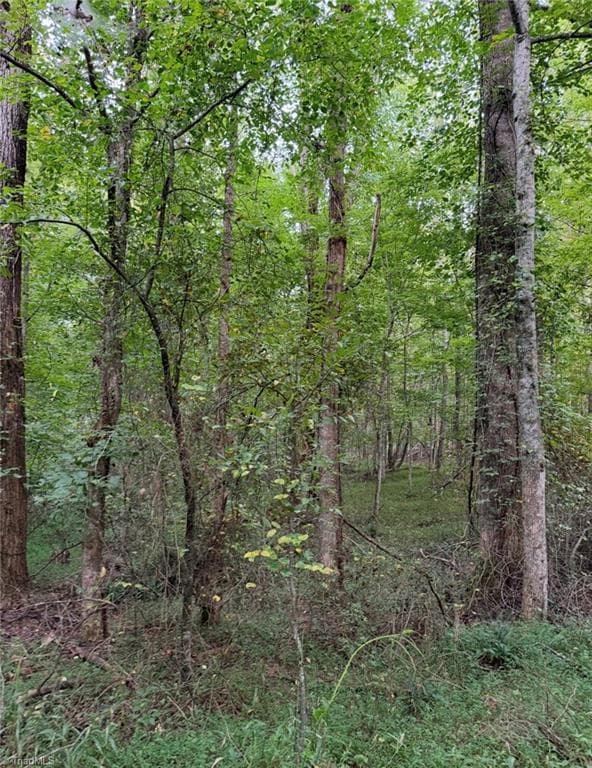 Unimproved Land at 00 Locust Grove Road # 67, Westfield NC 27053, photo 19 of 20