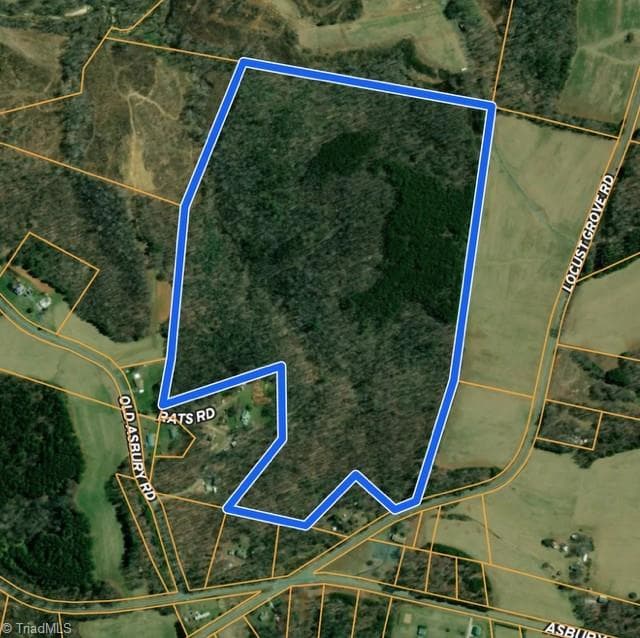 Unimproved Land at 00 Locust Grove Road # 67, Westfield NC 27053, photo 4 of 20
