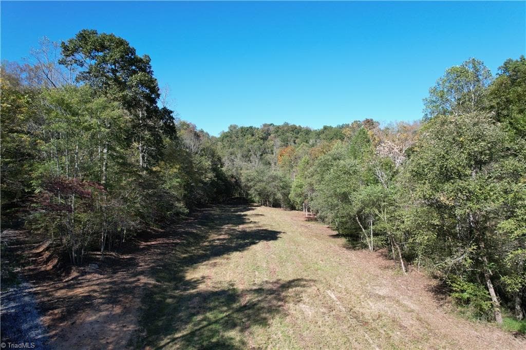 Unimproved Land at 01 Seven Island Road, Danbury NC 27016, photo 6 of 12