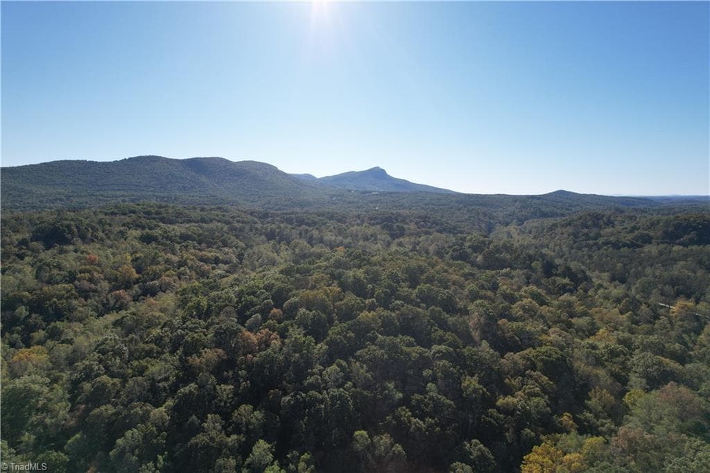 Unimproved Land at 01 Seven Island Road, Danbury NC 27016, photo 3 of 12
