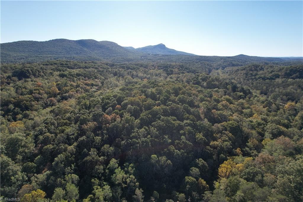 Unimproved Land at 01 Seven Island Road, Danbury NC 27016, photo 4 of 12
