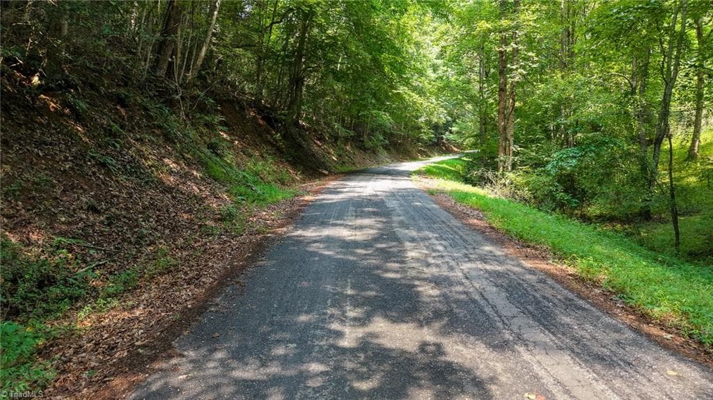Unimproved Land at 0 Rocky Point Road, Wilkesboro NC 28697, photo 6 of 17