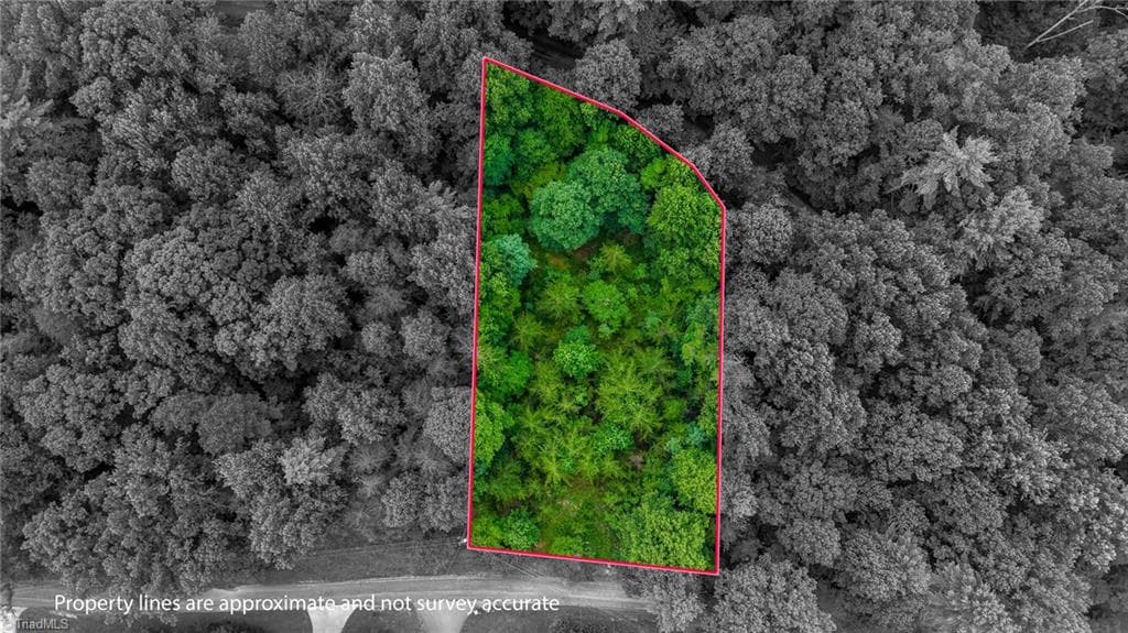 Unimproved Land at 0 Rocky Point Road, Wilkesboro NC 28697, photo 17 of 17