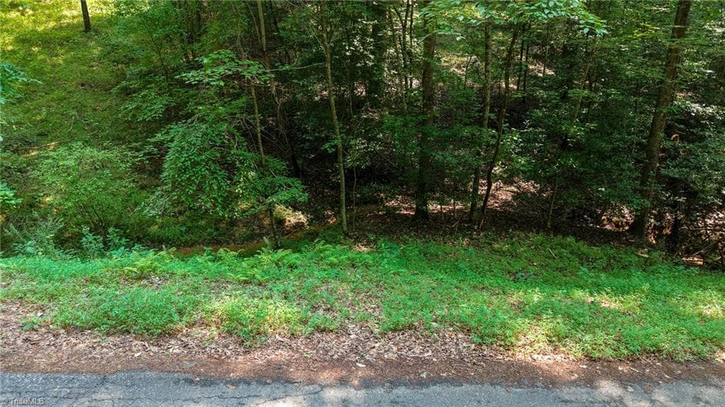 Unimproved Land at 0 Rocky Point Road, Wilkesboro NC 28697, photo 7 of 17