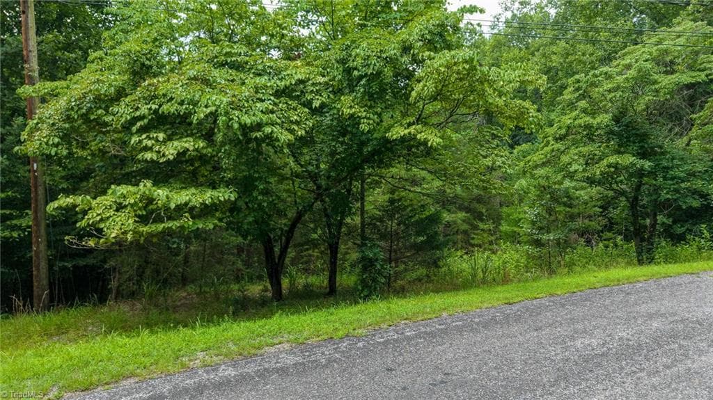 Unimproved Land at 0 Rocky Point Road, Wilkesboro NC 28697, photo 3 of 17