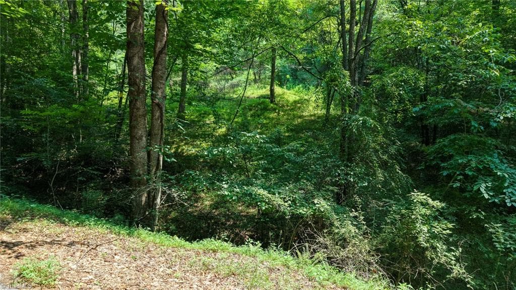 Unimproved Land at 0 Rocky Point Road, Wilkesboro NC 28697, photo 5 of 17