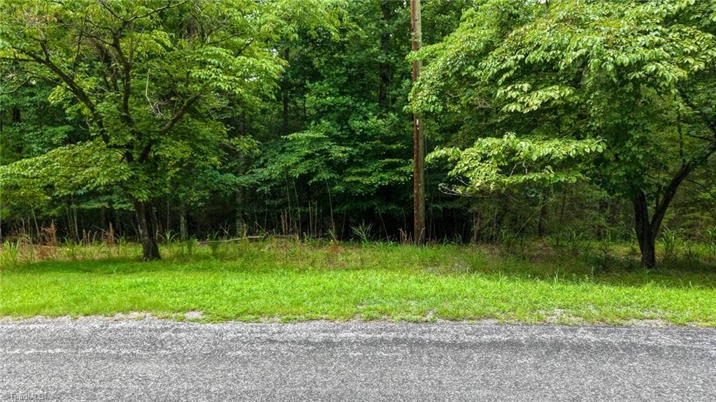 Unimproved Land at 0 Rocky Point Road, Wilkesboro NC 28697, photo 4 of 17