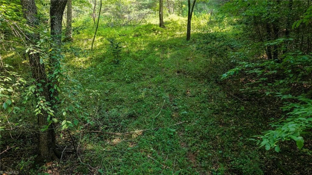 Unimproved Land at 0 Rocky Point Road, Wilkesboro NC 28697, photo 8 of 17