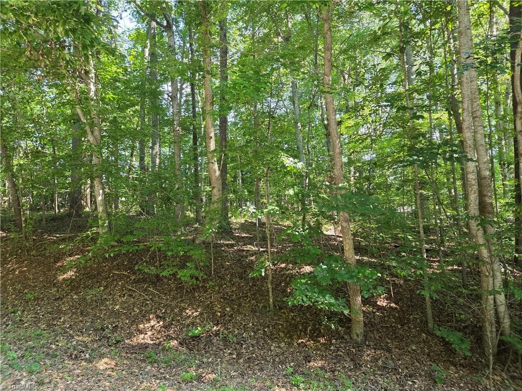 Single Family Residence at Lot 1 Pin Tail Drive, Reidsville NC 27320, photo 6 of 8