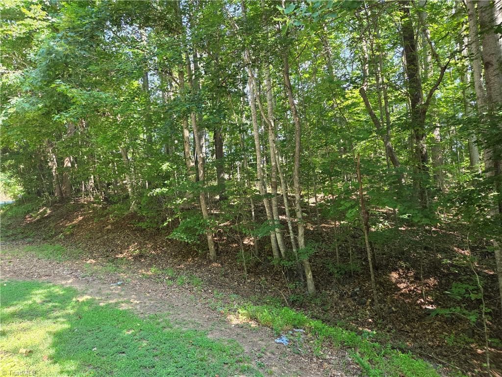 Single Family Residence at Lot 1 Pin Tail Drive, Reidsville NC 27320, photo 7 of 8