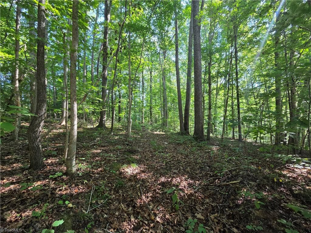 Lot 1 Pin Tail Drive, Reidsville NC 27320