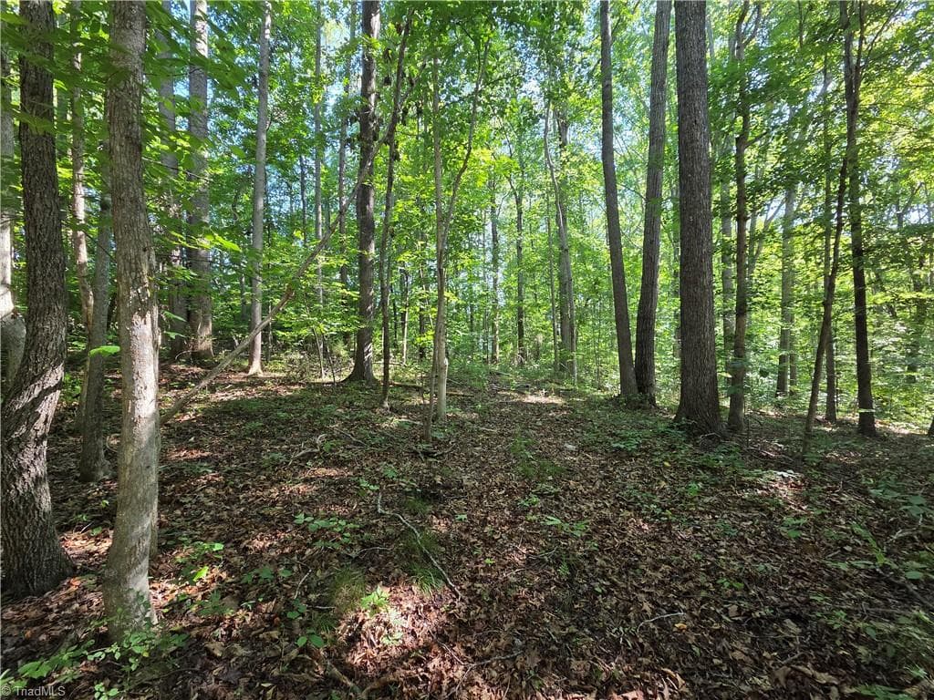 Single Family Residence at Lot 1 Pin Tail Drive, Reidsville NC 27320, photo 5 of 8