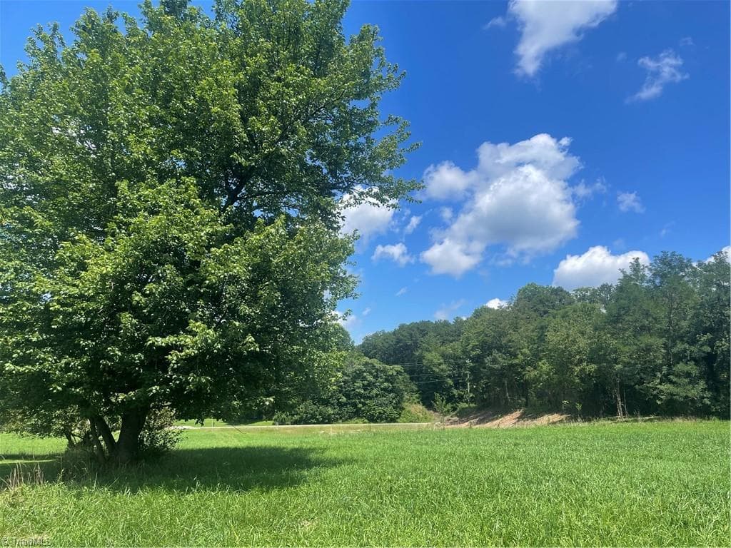 Unimproved Land at 1213 Old Highway 21, State Road NC 28676, photo 18 of 25