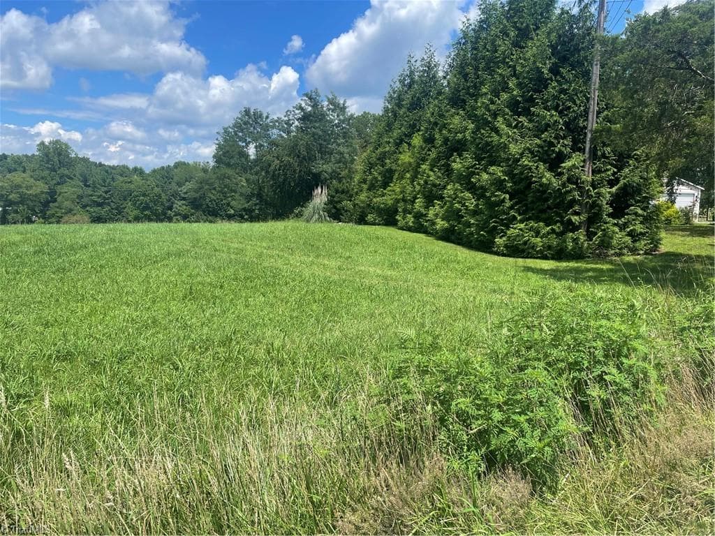 Unimproved Land at 1213 Old Highway 21, State Road NC 28676, photo 15 of 25
