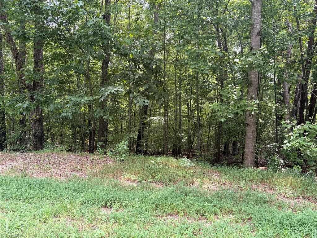 Single Family Residence at 00 Glenrobin Drive, Eden NC 27288, photo 7 of 8