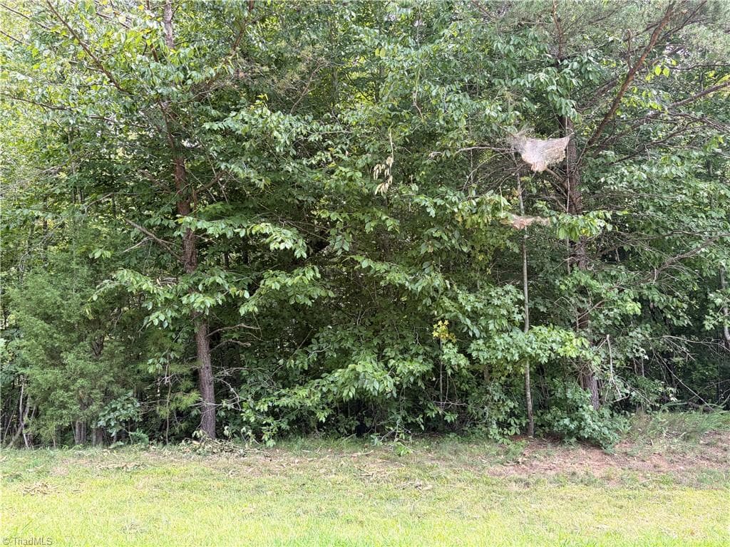Single Family Residence at 00 Glenrobin Drive, Eden NC 27288, photo 5 of 8