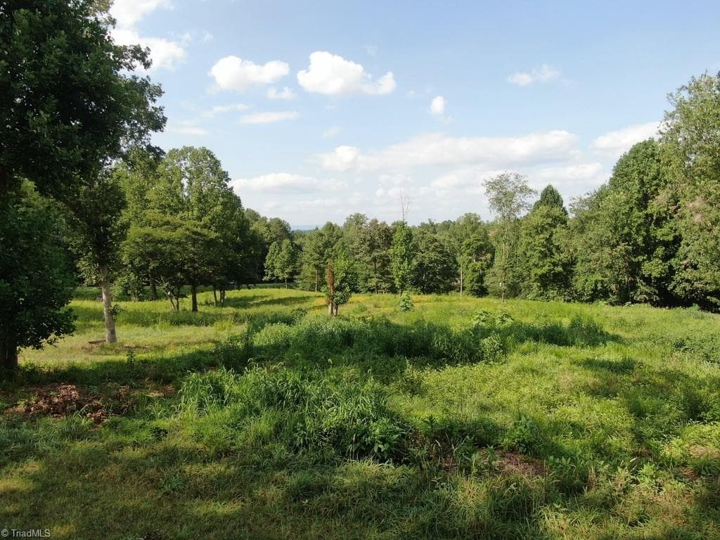Investment at 209 Second Street, Pilot Mountain NC 27041, photo 3 of 13