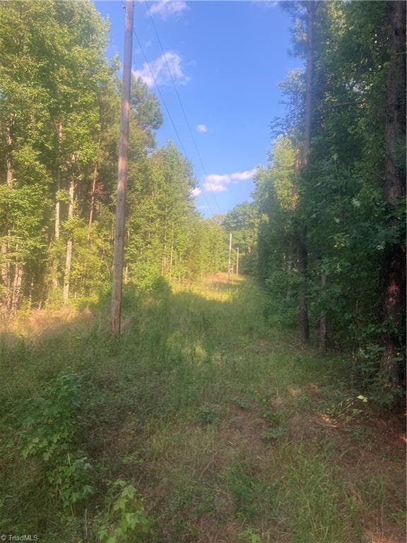 Unimproved Land at 0 Graham Davis Road, Denton NC 27279, photo 2 of 22