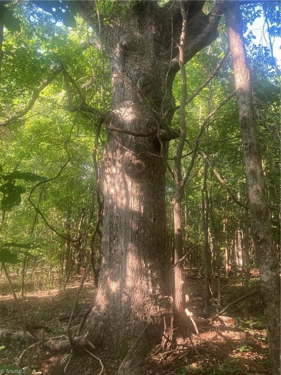 Unimproved Land at 0 Graham Davis Road, Denton NC 27279, photo 6 of 22