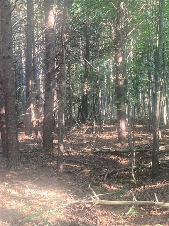 Unimproved Land at 0 Graham Davis Road, Denton NC 27279, photo 13 of 22