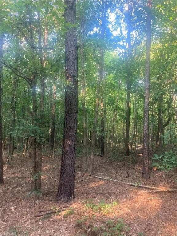 Unimproved Land at 0 Graham Davis Road, Denton NC 27279, photo 16 of 22