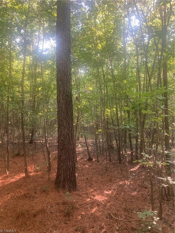 Unimproved Land at 0 Graham Davis Road, Denton NC 27279, photo 12 of 22