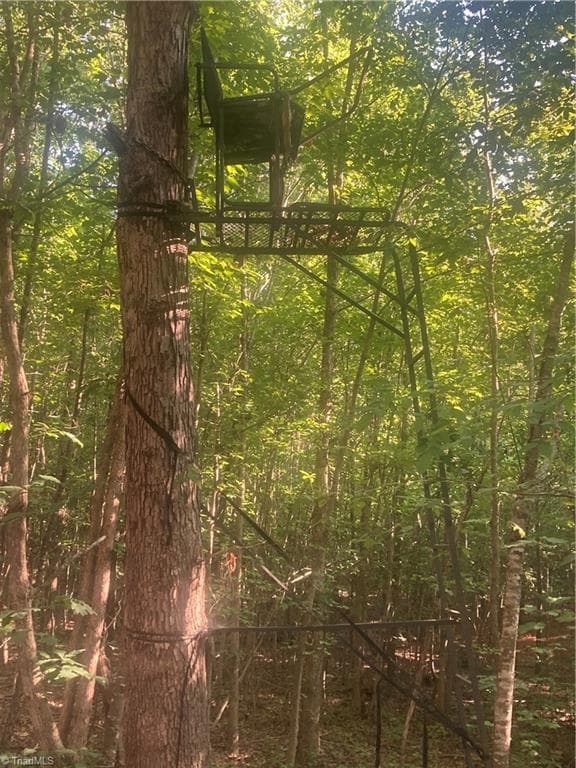 Unimproved Land at 0 Graham Davis Road, Denton NC 27279, photo 10 of 22
