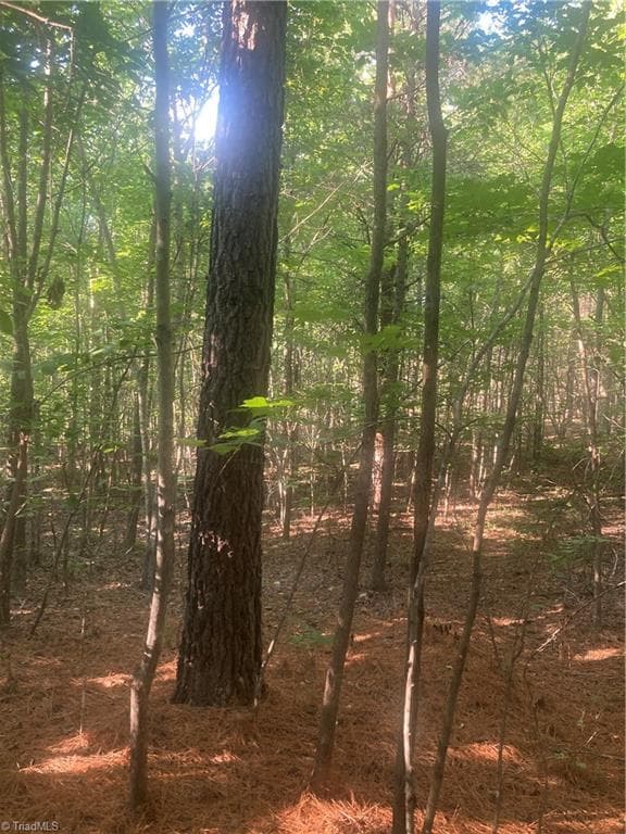 Unimproved Land at 0 Graham Davis Road, Denton NC 27279, photo 11 of 22