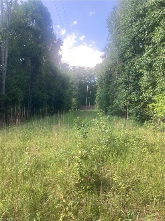 Unimproved Land at 0 Graham Davis Road, Denton NC 27279, photo 4 of 22
