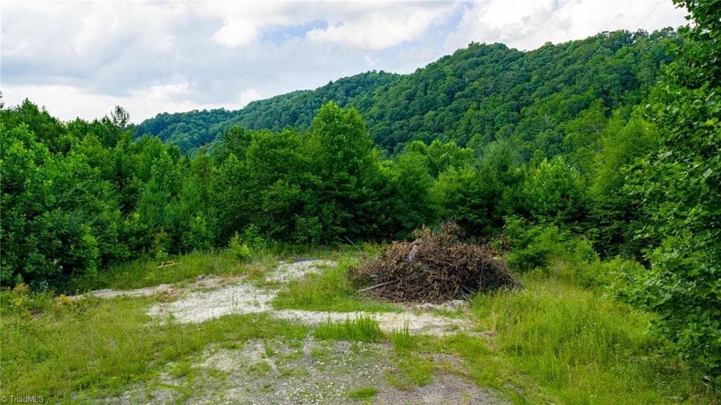 Unimproved Land at TBD 7 Big Laurel Road, Creston NC 28615, photo 3 of 20