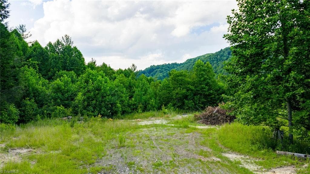 Unimproved Land at TBD 7 Big Laurel Road, Creston NC 28615, photo 9 of 20