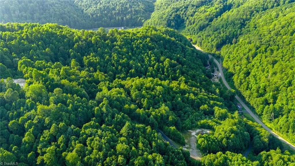Unimproved Land at TBD 7 Big Laurel Road, Creston NC 28615, photo 15 of 20
