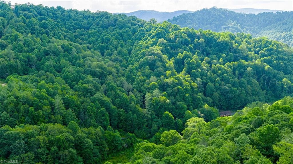 Unimproved Land at TBD 7 Big Laurel Road, Creston NC 28615, photo 11 of 20