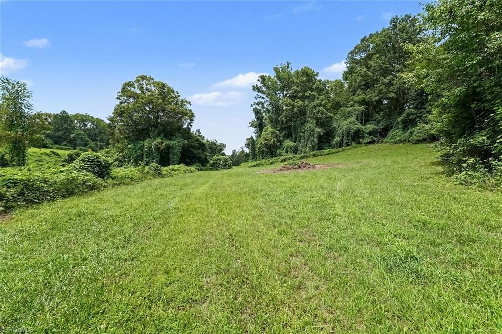 Unimproved Land at 543 Bald Hill Loop Road, Madison NC 27025, photo 6 of 30