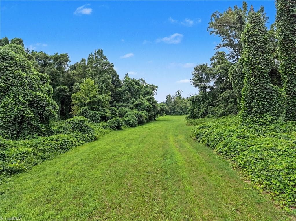 Unimproved Land at 543 Bald Hill Loop Road, Madison NC 27025, photo 3 of 30