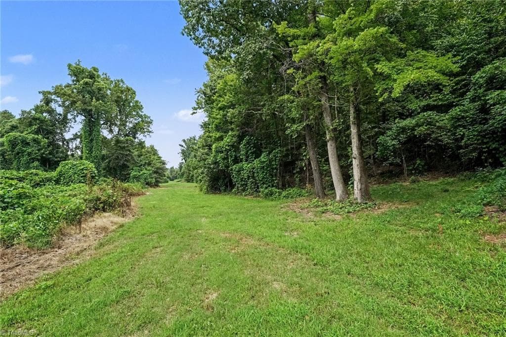 Unimproved Land at 543 Bald Hill Loop Road, Madison NC 27025, photo 5 of 30