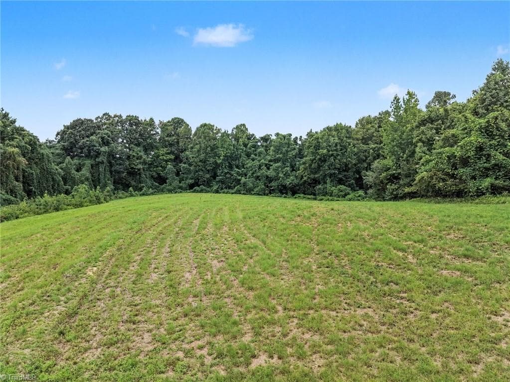 Unimproved Land at 543 Bald Hill Loop Road, Madison NC 27025, photo 9 of 30