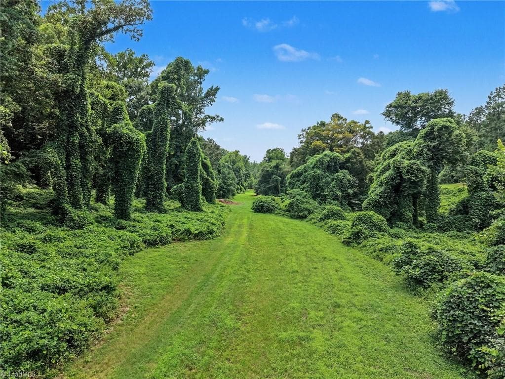 Unimproved Land at 543 Bald Hill Loop Road, Madison NC 27025, photo 10 of 30