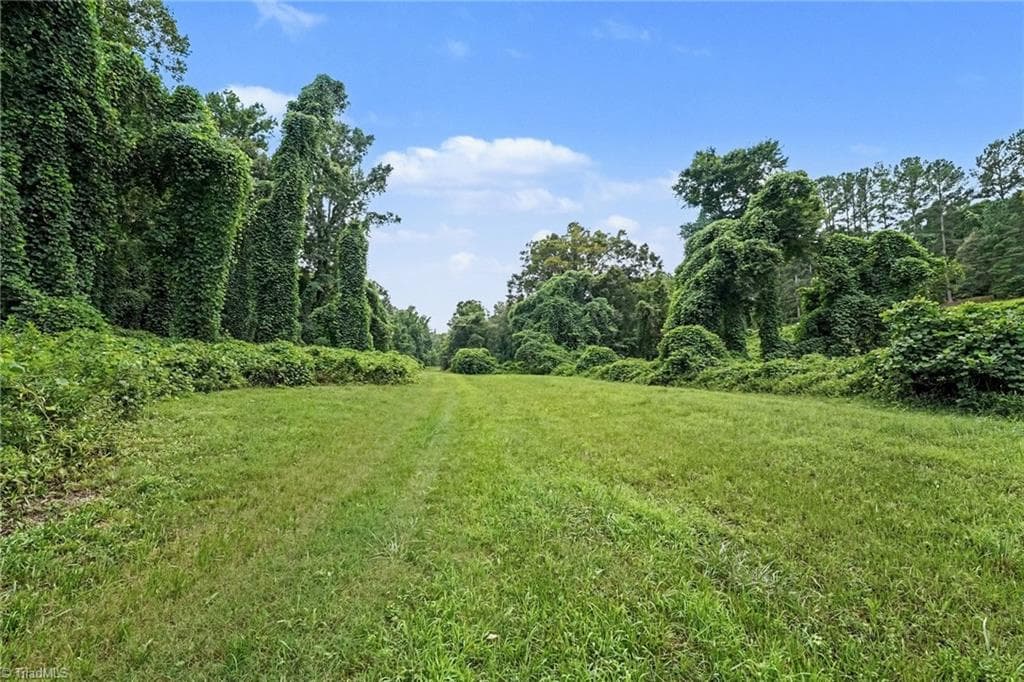 Unimproved Land at 543 Bald Hill Loop Road, Madison NC 27025, photo 8 of 30