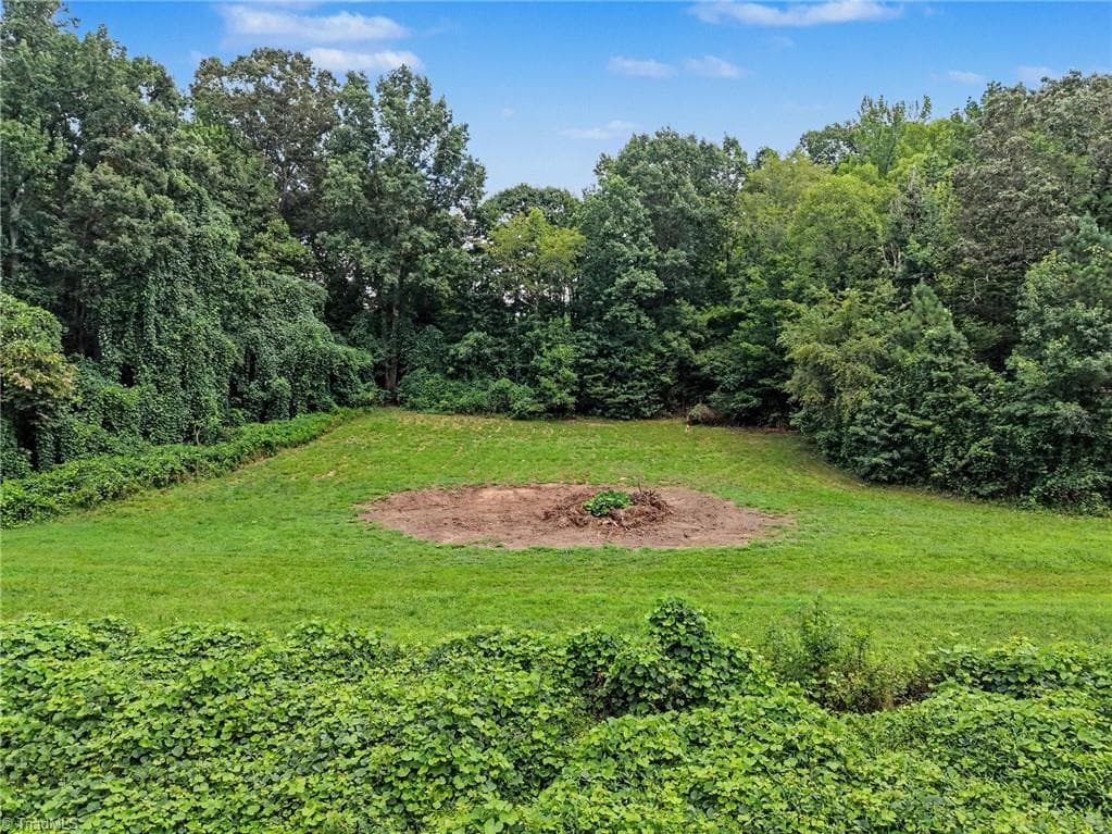 Unimproved Land at 543 Bald Hill Loop Road, Madison NC 27025, photo 25 of 30
